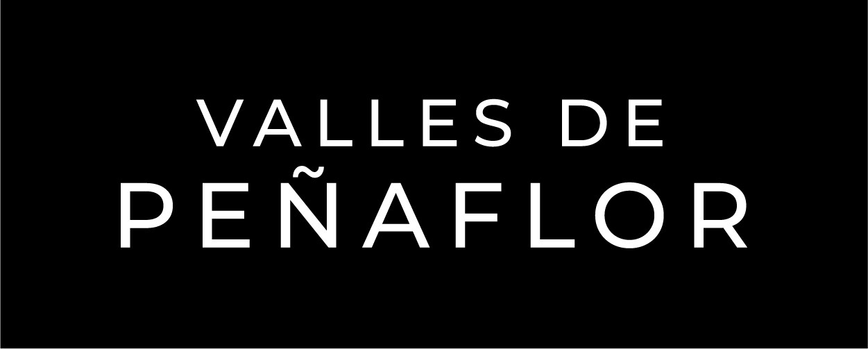 Logo Valles de Peñaflor VII